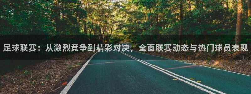 足球联赛：从激烈竞争到精彩对决，全面联赛动态与热门球员表现