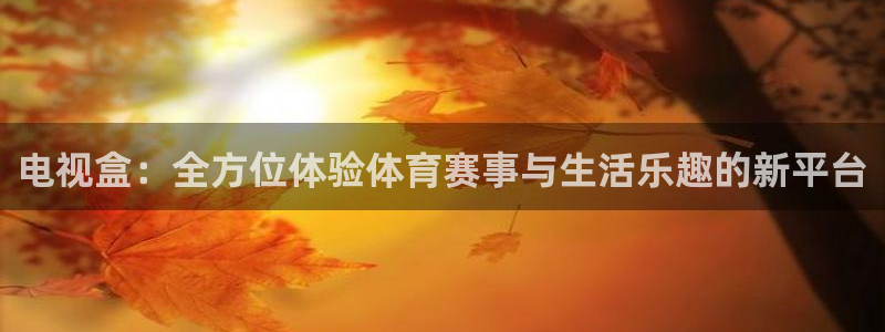 电视盒：全方位体验体育赛事与生活乐趣的新平台
