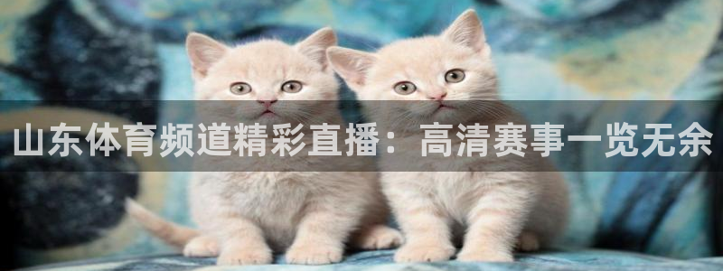 山东体育频道精彩直播：高清赛事一览无余