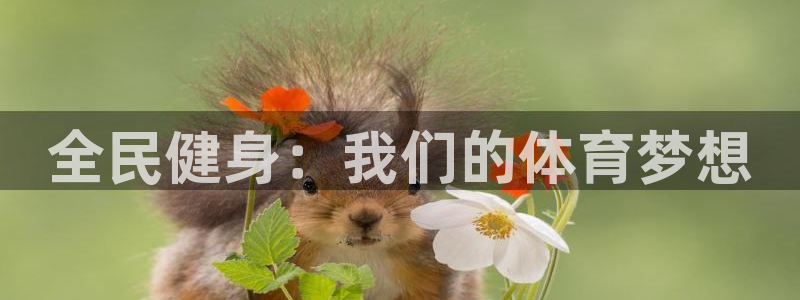 全民健身：我们的体育梦想