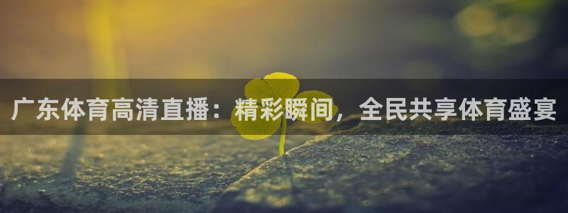 广东体育高清直播：精彩瞬间，全民共享体育盛宴