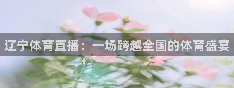 辽宁体育直播：一场跨越全国的体育盛宴