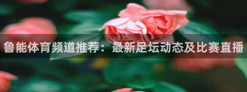 鲁能体育频道推荐：最新足坛动态及比赛直播