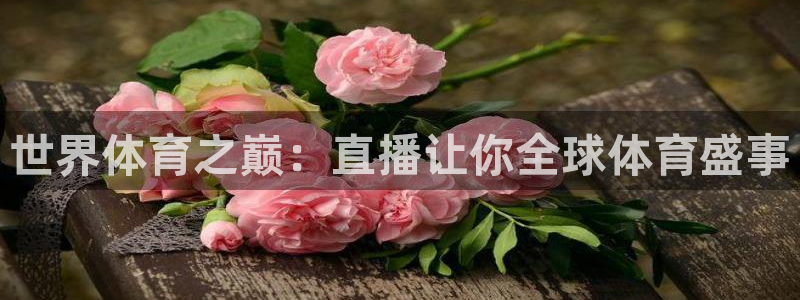世界体育之巅：直播让你全球体育盛事
