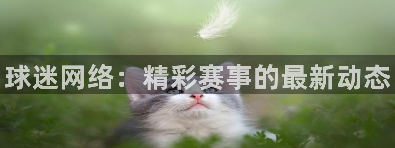 球迷网络：精彩赛事的最新动态