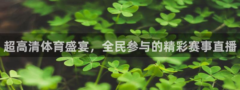超高清体育盛宴，全民参与的精彩赛事直播