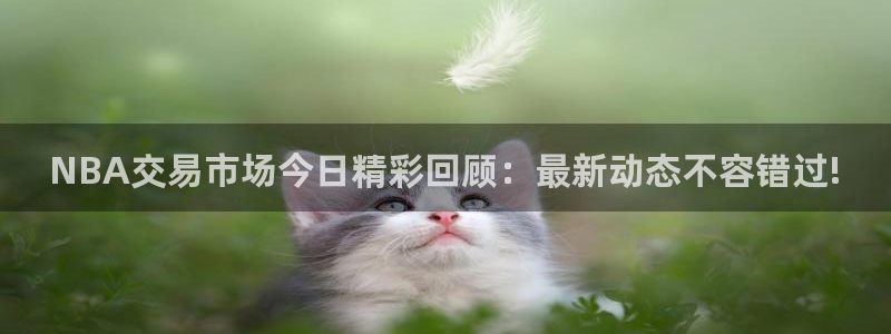 NBA交易市场今日精彩回顾：最新动态不容错过!